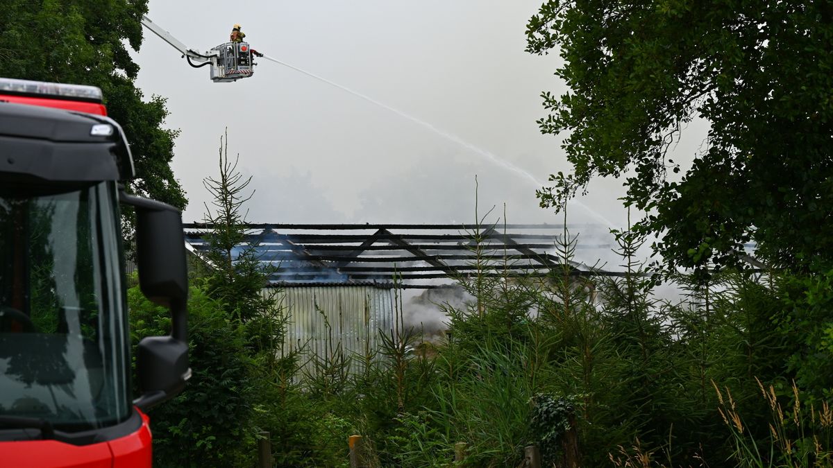 Uitslaande brand in loods met kalveren in Opeinde