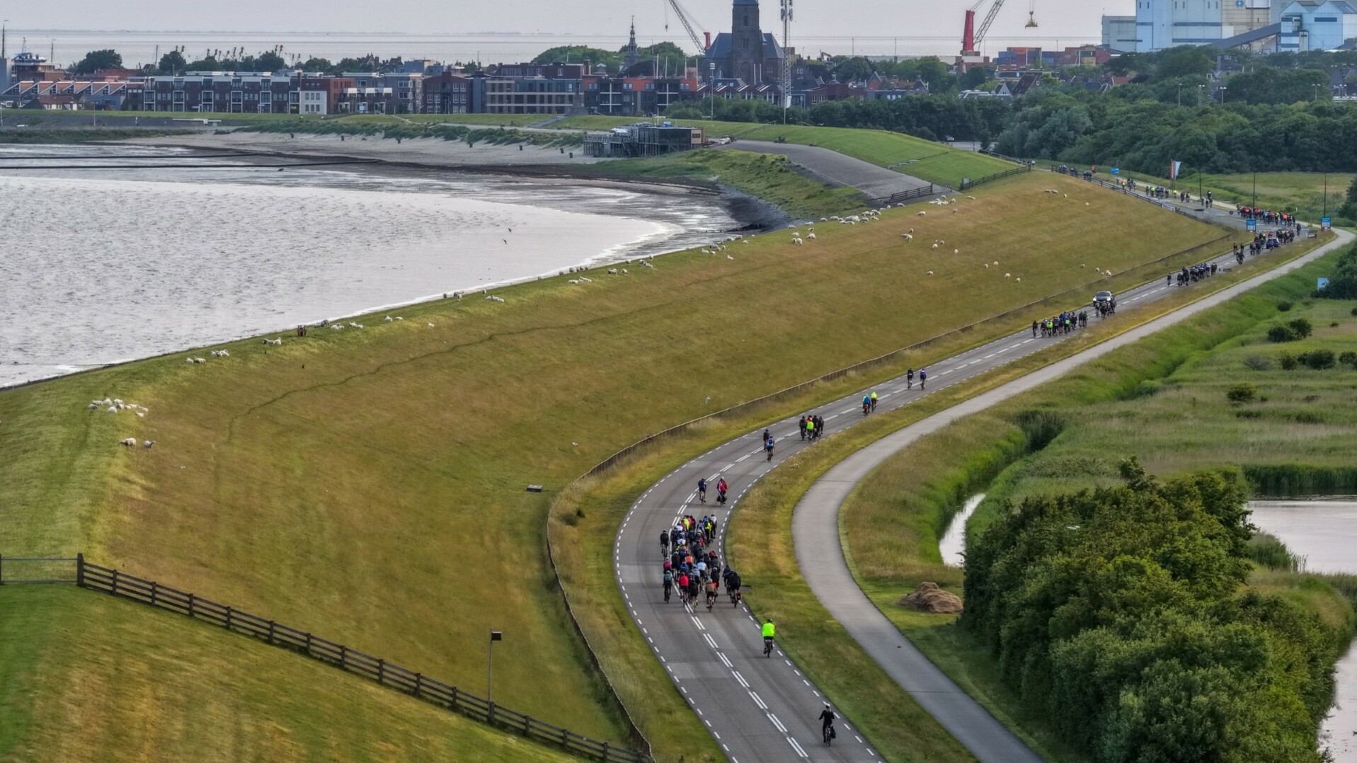 De eerste fietsers al in Harlingen, 's ochtends om half zeven