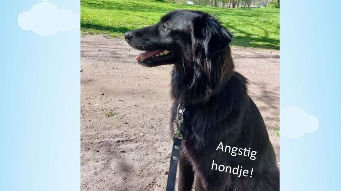 Flyer voor vermiste Floor