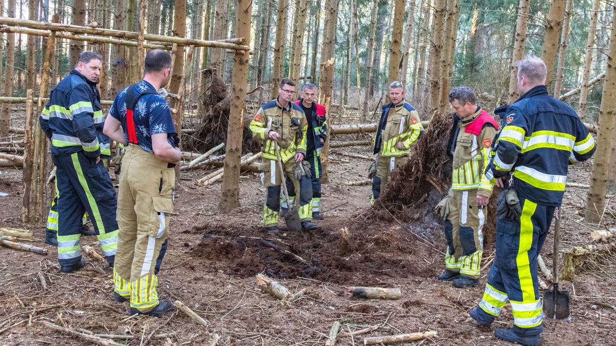Spelende kinderen veroorzaken bosbrand