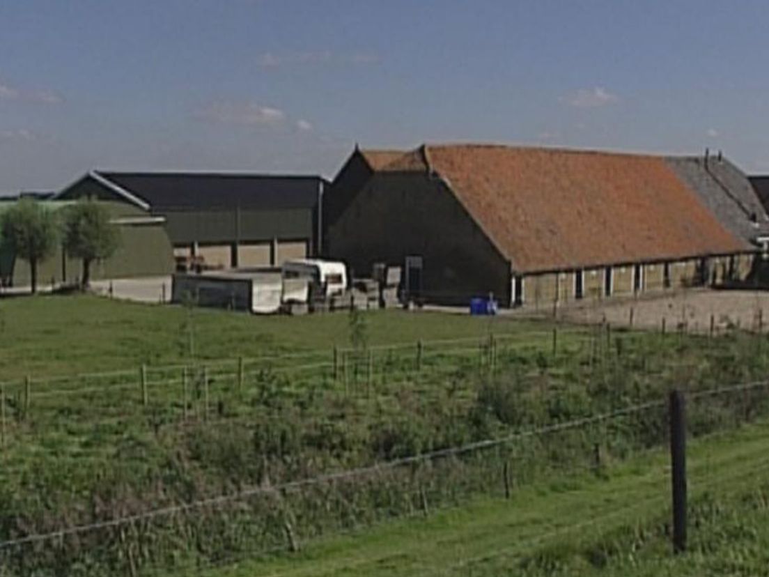 nboeren09_05.jpg