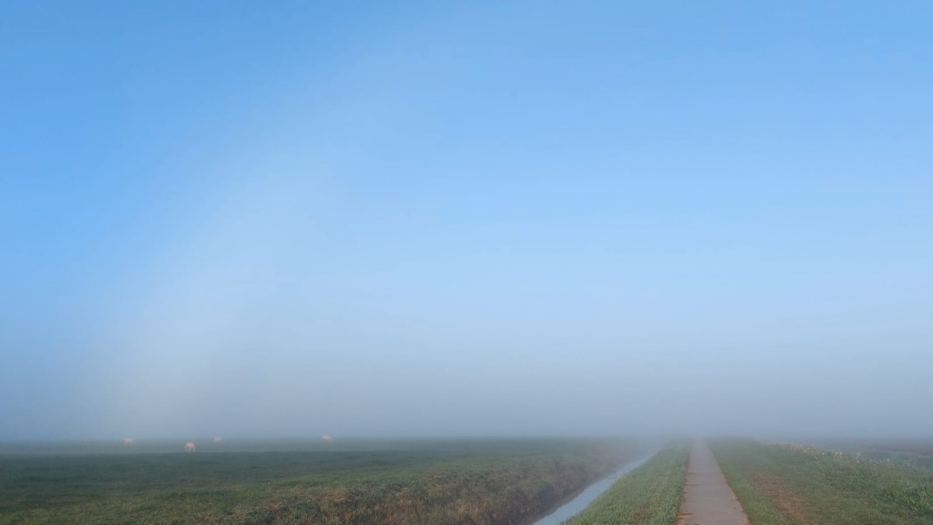 Een deel van de mistboog die Greet Boekweg bij Appingedam zag