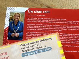 De nieuwe stempas voor de herverkiezing in Gorinchem.