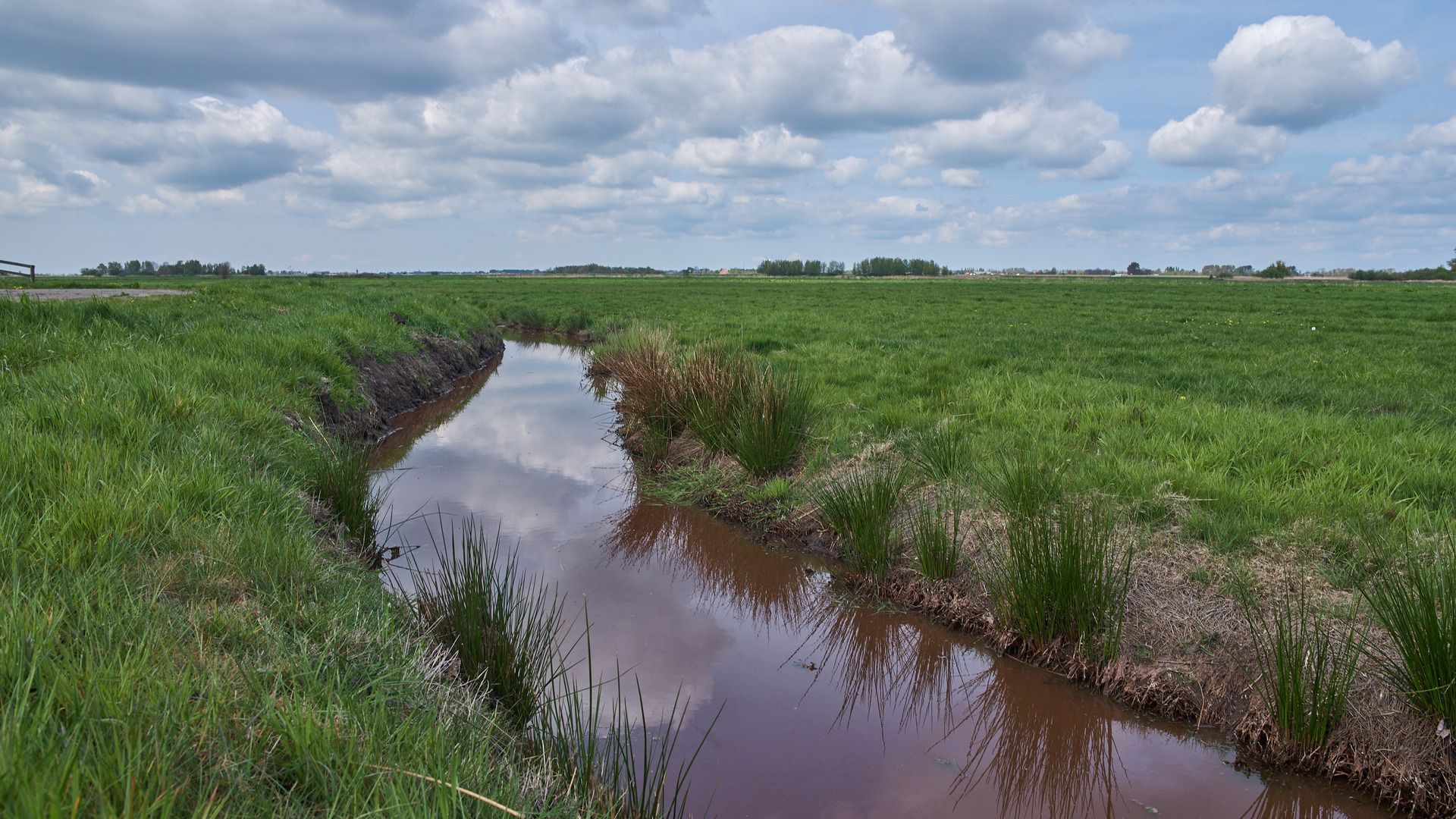 De C02-útstjit fan it bergingswurk fan CleanUp XL yn de Noardsee wudt kompensearre mei hegere wetterstannen yn dizze polder by Langwar