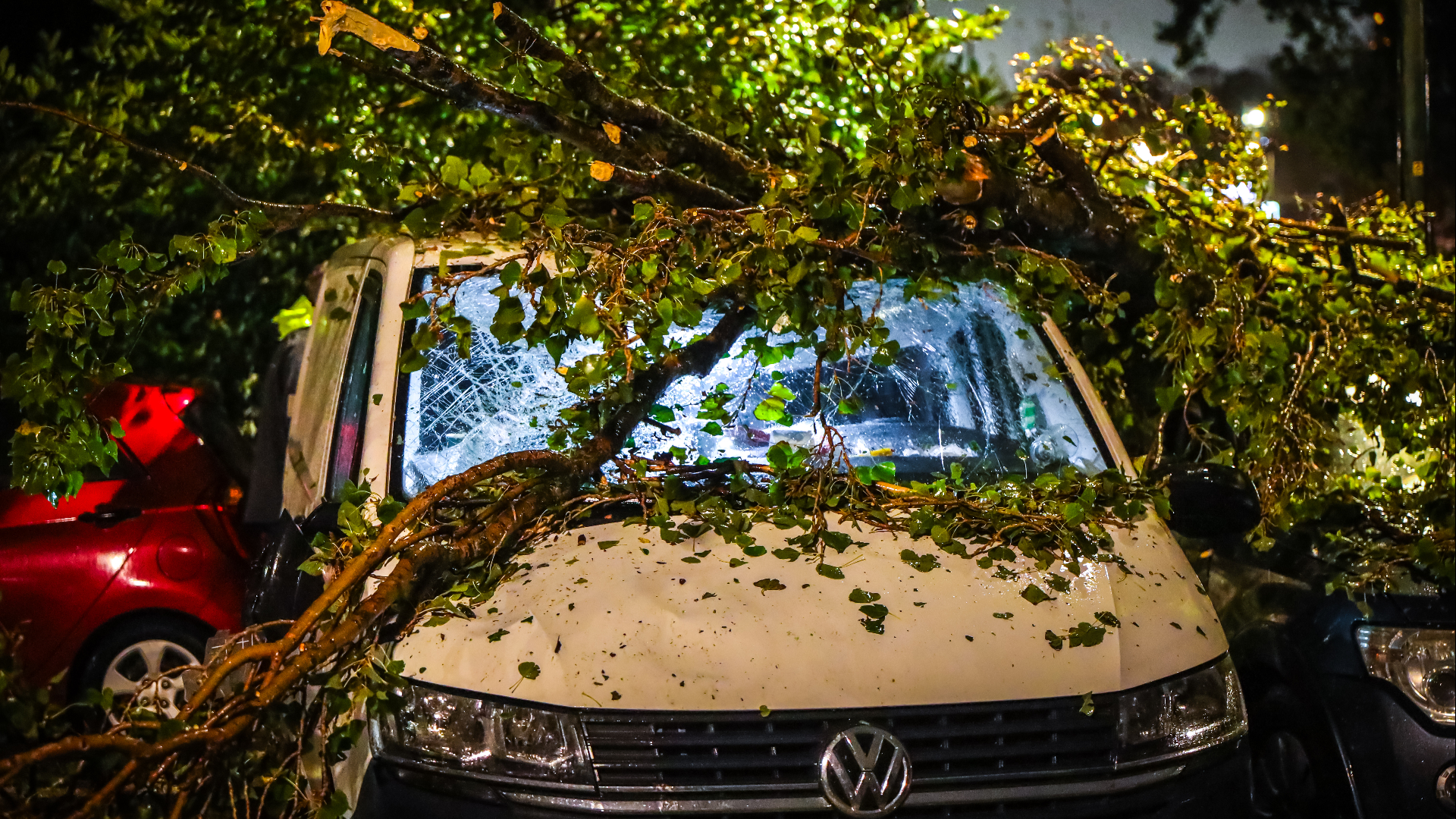 Boom valt op auto's in Maassluis.