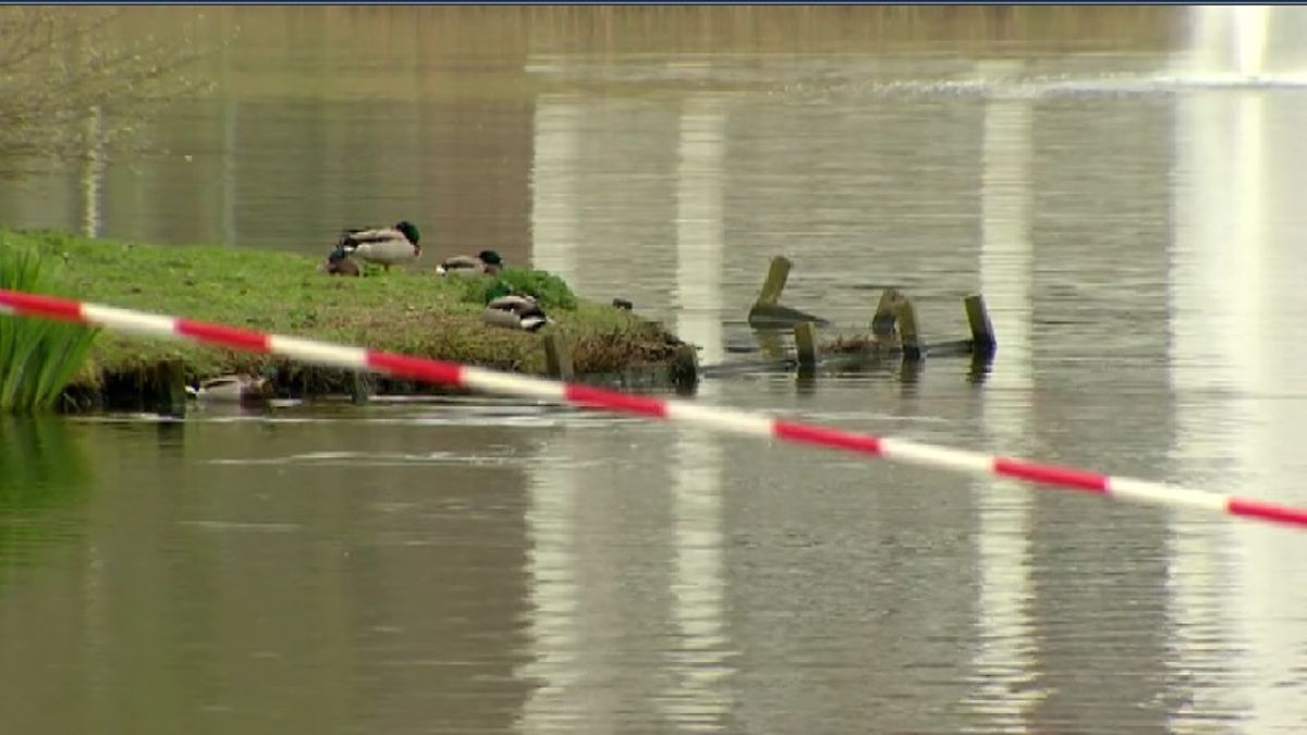Vogelsterfte bij vijver in Angelslo