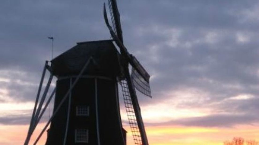 'Hermien' tweede bij Molenprijs