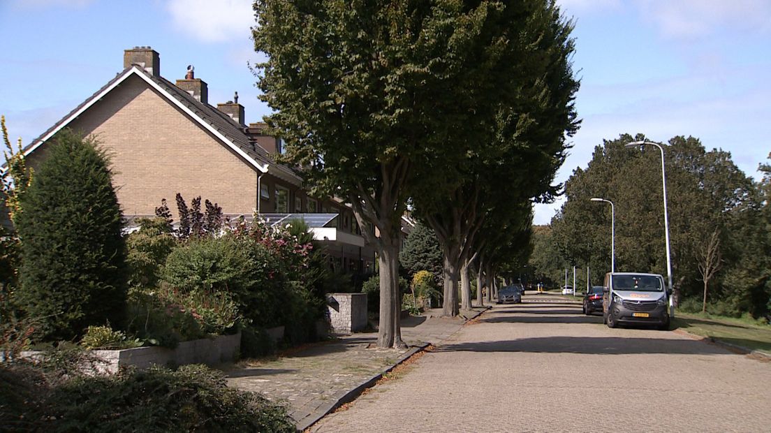 De Gravin Marialaan in Leidschendam