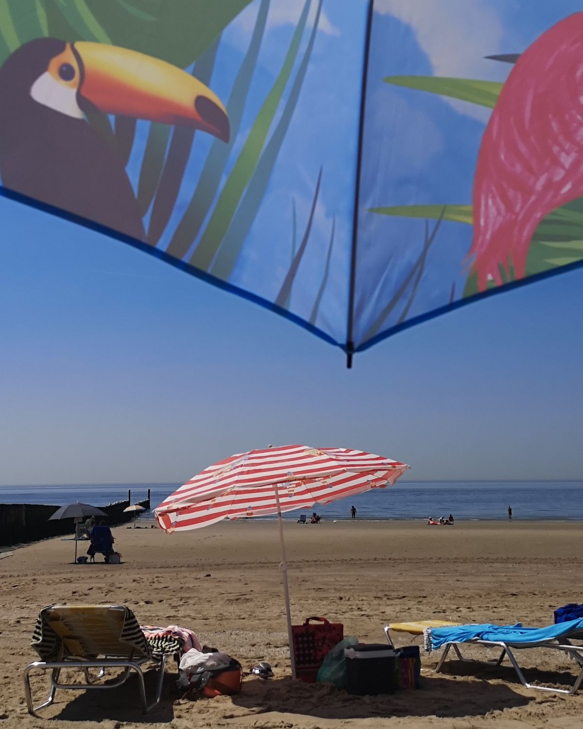 Tropische dag in Zeeland met files, volle stranden én een hitteplan
