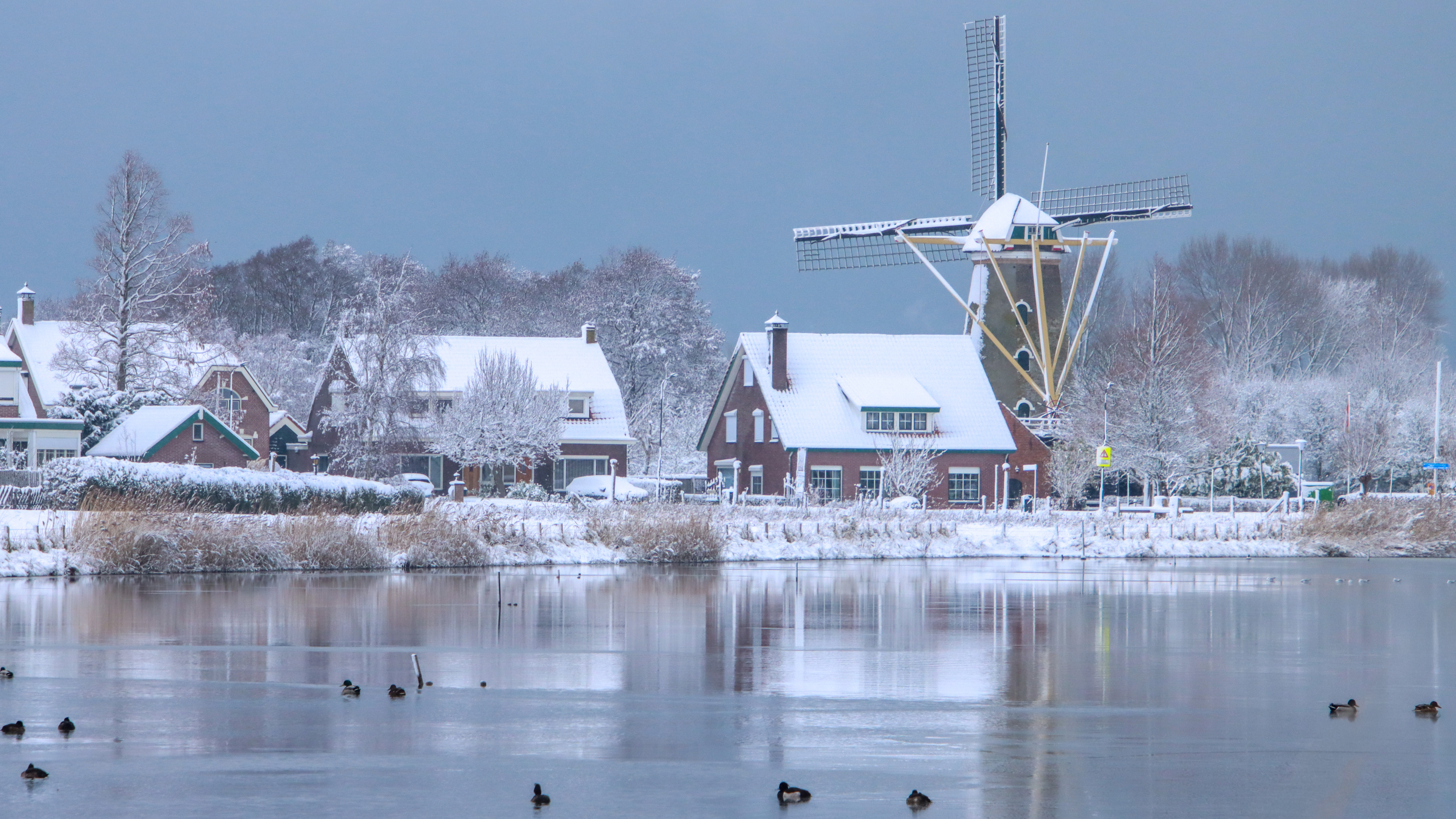 Januari iets kouder dan normaal: komt februari ook met sneeuw?