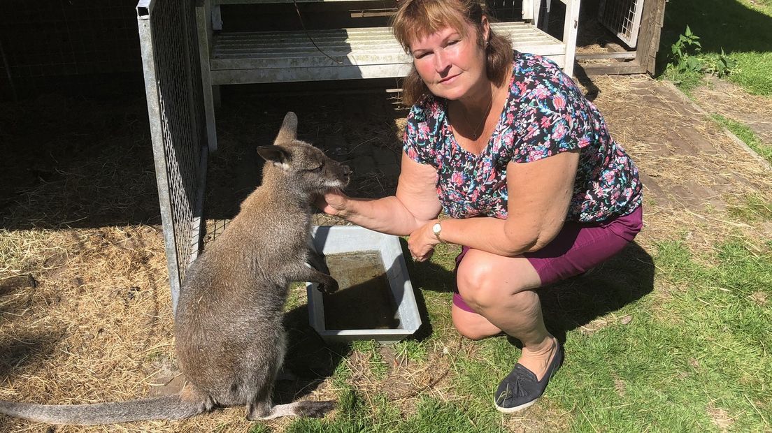 Janke van der Knaap met één van haar kangoeroes