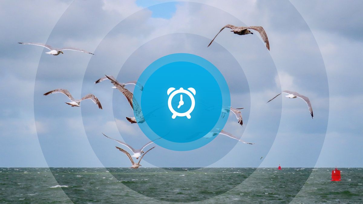 Goedemorgen! Zeegroente-traditie in gevaar, nieuwe speelplek Colijnsplaat en mavo-topper Gerben