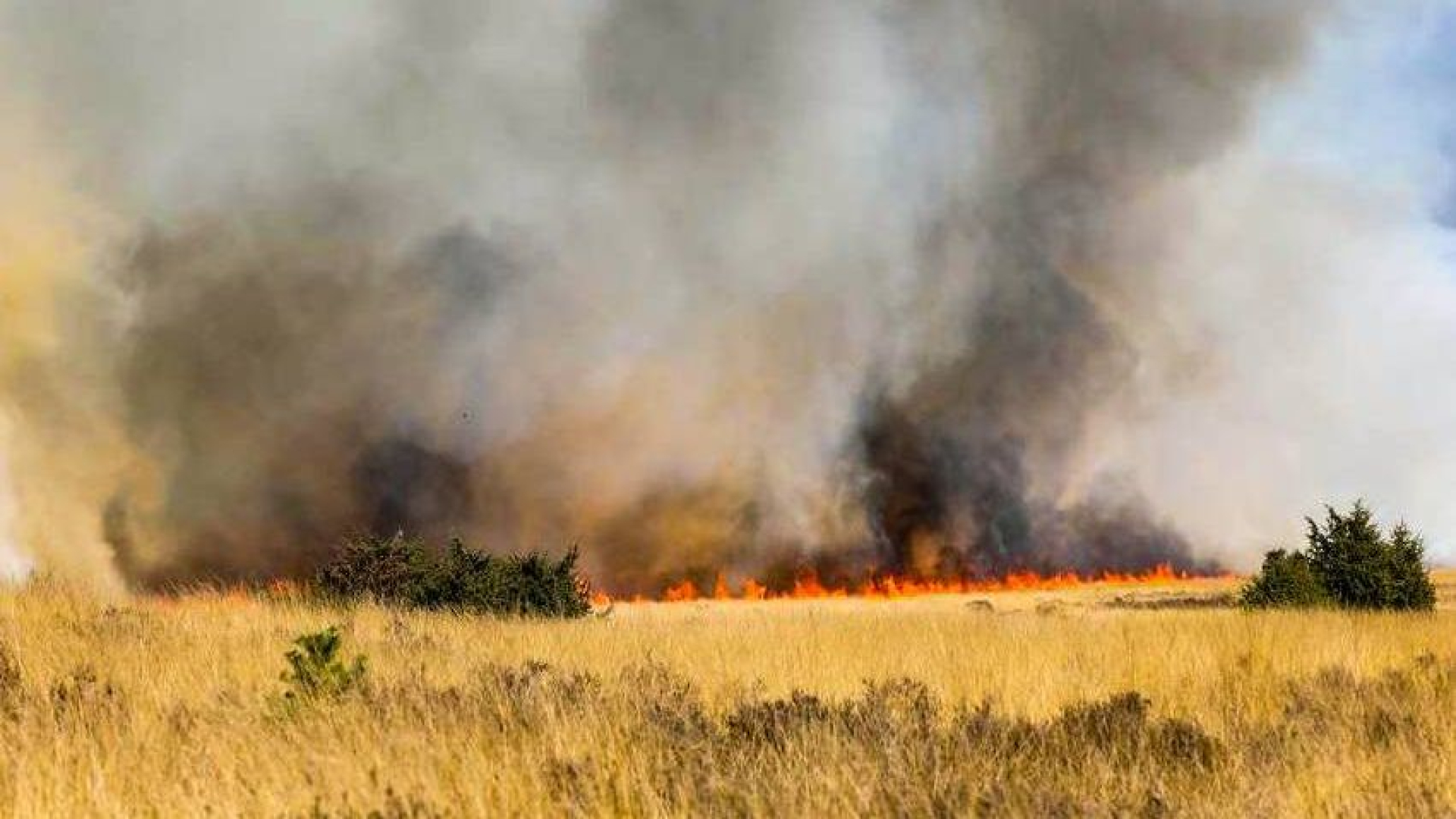Onvoldoende bluswater bij natuurbranden