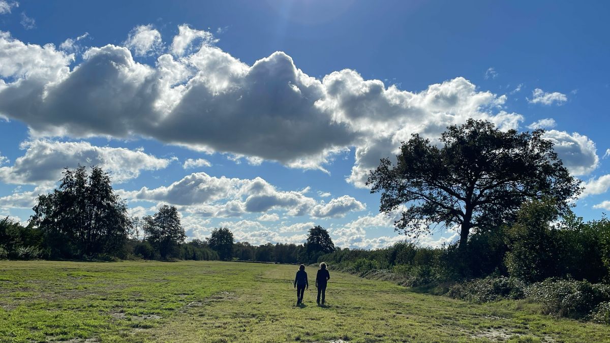 Oorspronkelijke natuur van het beekdal komt terug