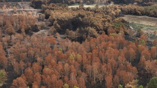 KIJKEN | Dit bleef over na de grote heidebrand bij ’t Harde