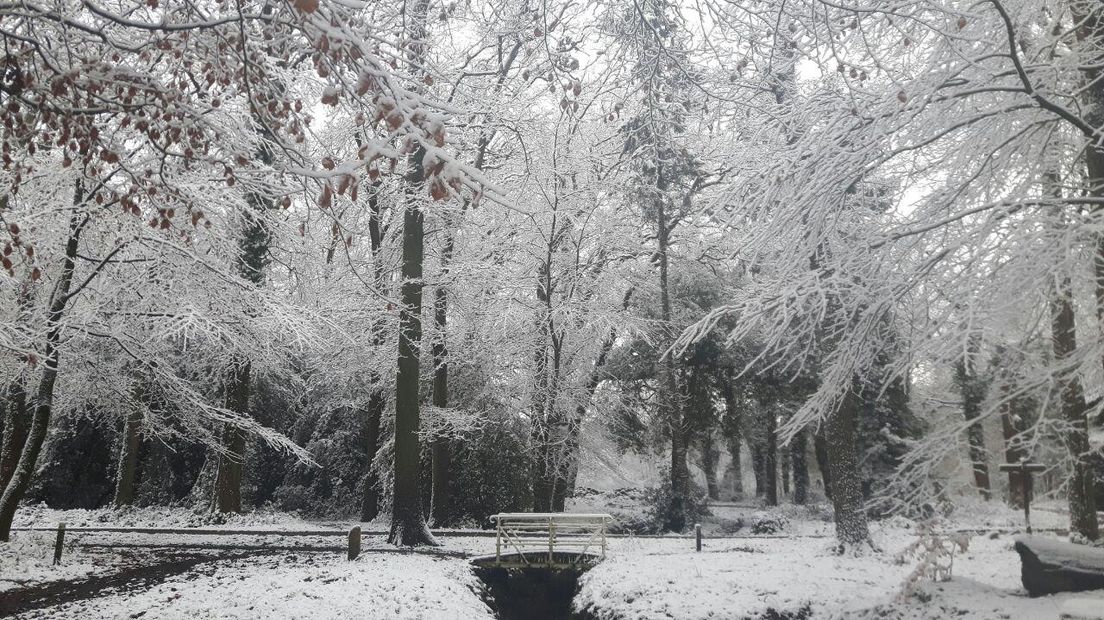 Er kan morgen een sneeuwdek liggen van 5 centimeter volgens weerman John Havinga (Rechten: archief RTV Drenthe)