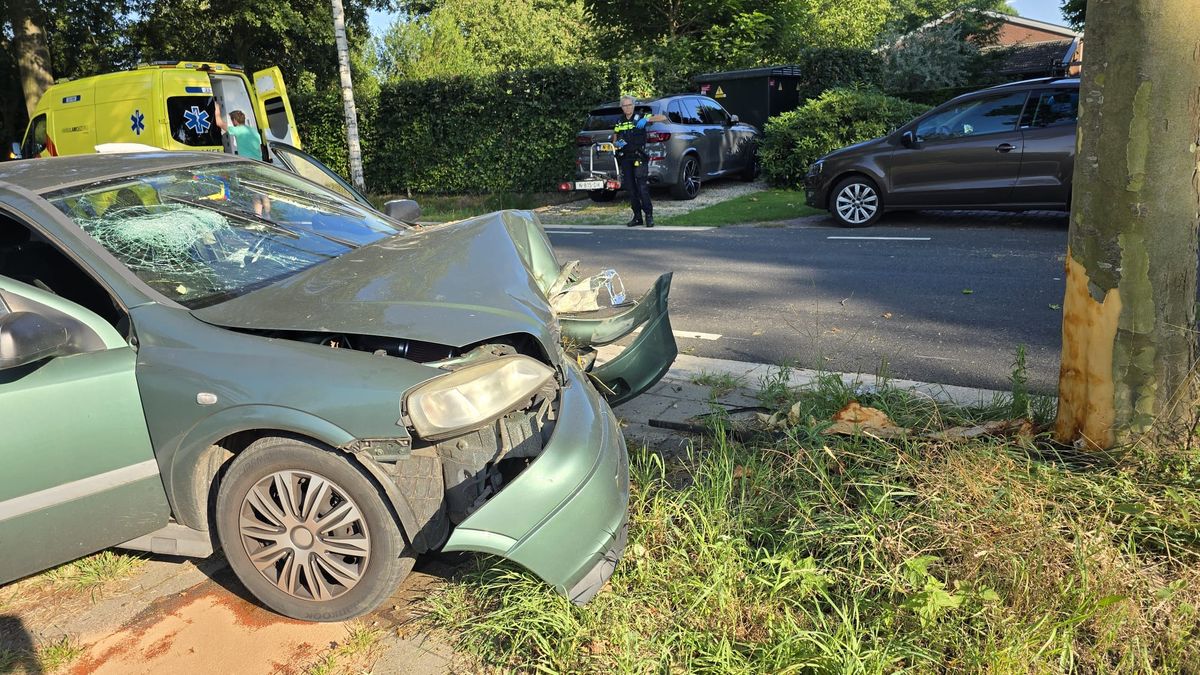 Auto botst tegen boom in Sevenum: één gewonde