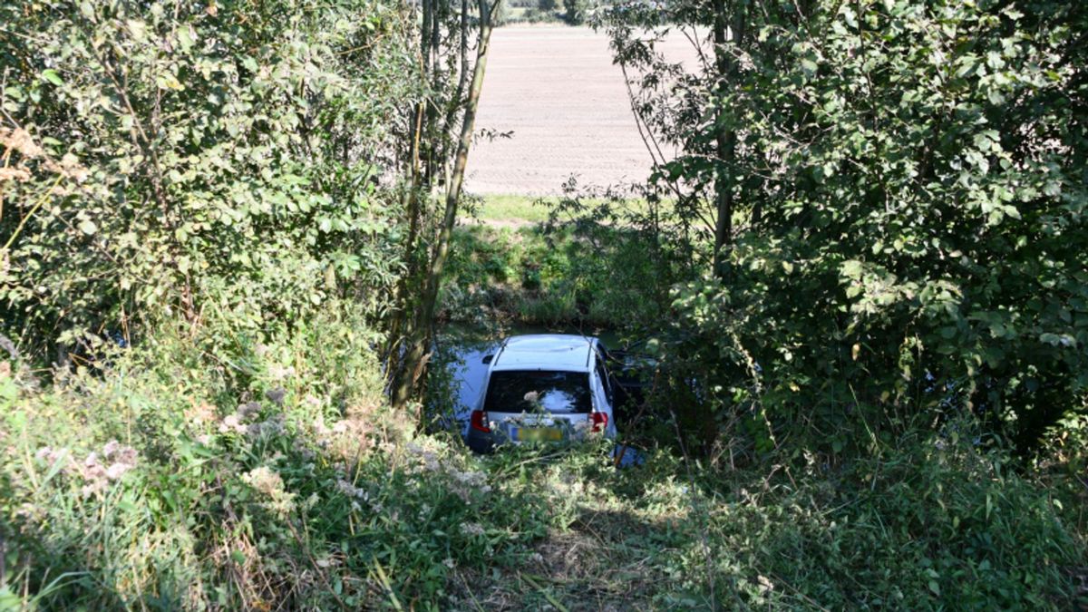 Bestuurder raakt verkeersbord en belandt met auto in de sloot