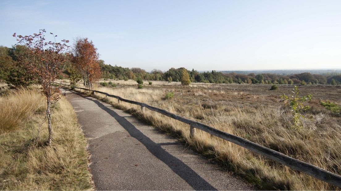 Nationaal Park De Sallandse Heuvelrug