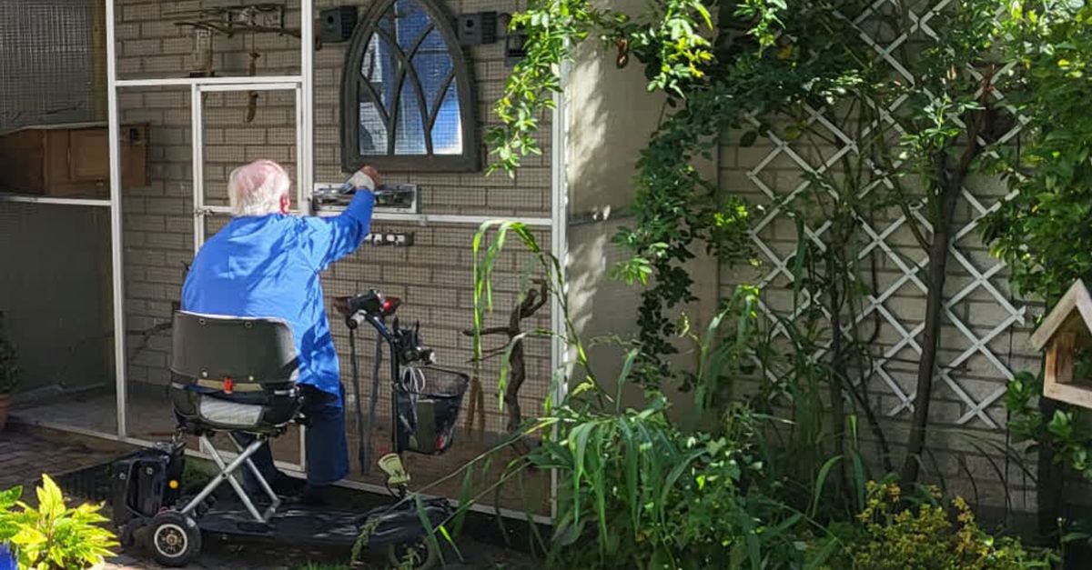 Vogels die weduwnaar Wout op de been hielden, zijn ontsnapt uit de
