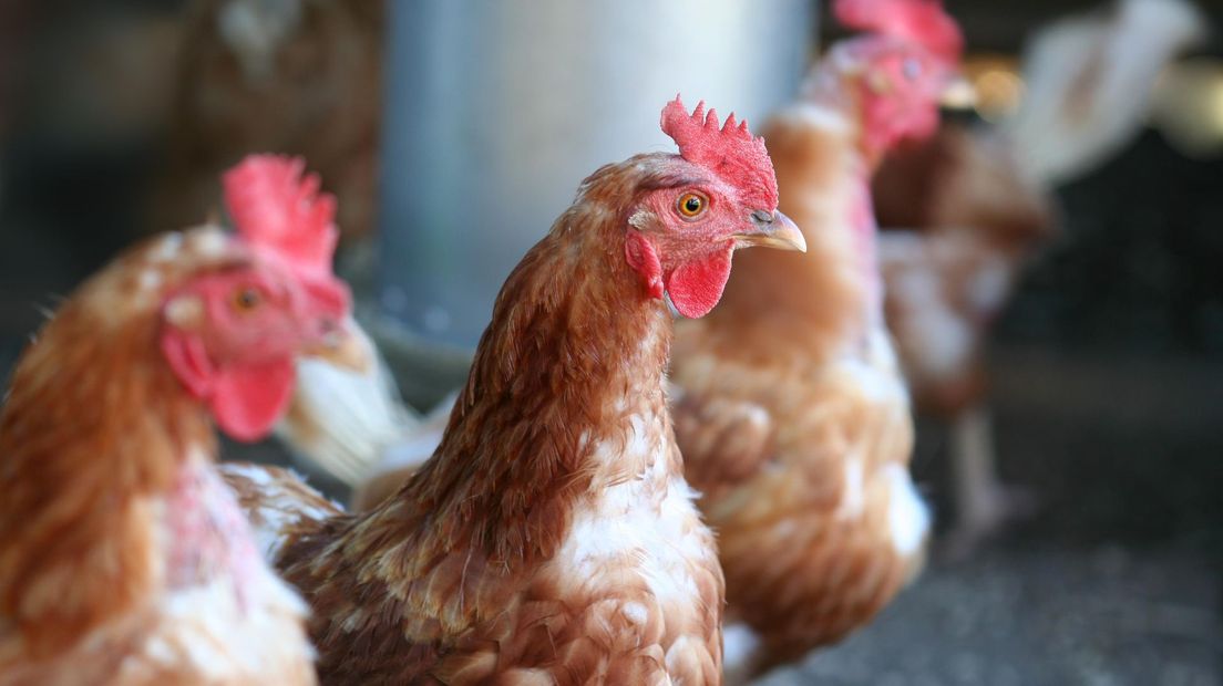Ophokplicht wordt gedeeltelijk ingetrokken