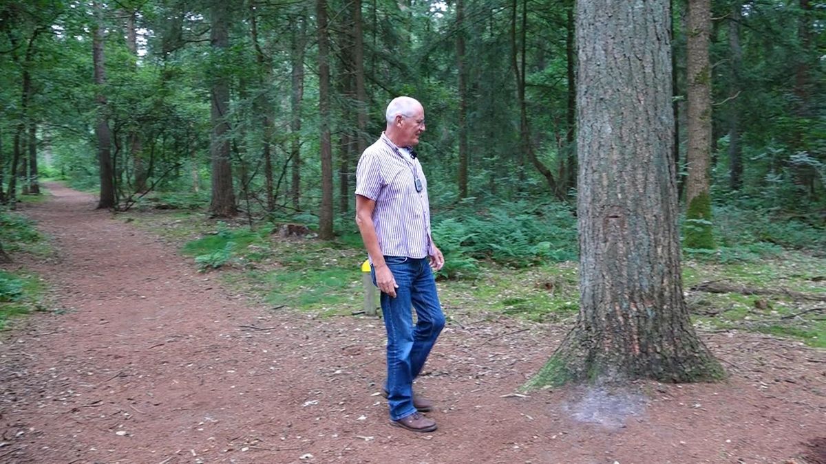 Geheim onderduikershol in Valthe voor iedereen toegankelijk