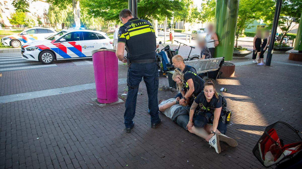 Agenten gebeten en tegen nek getrapt bij geweldsincident in Zwolle