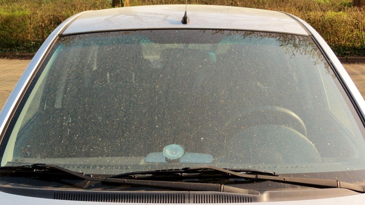 Lucht kleurt goud door stof uit de Sahara - Omroep West