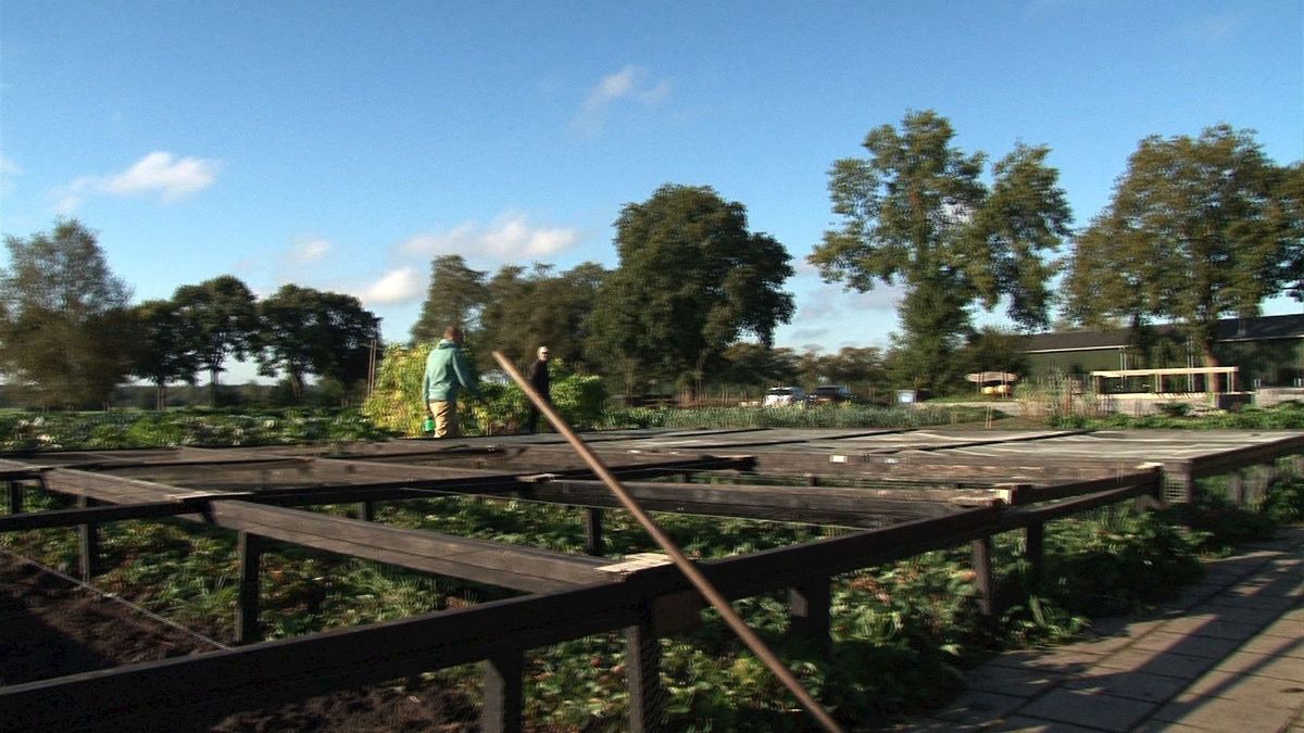 Het mes snijdt aan twee kanten bij 'n Hof an 'n Zwil - RTV Oost