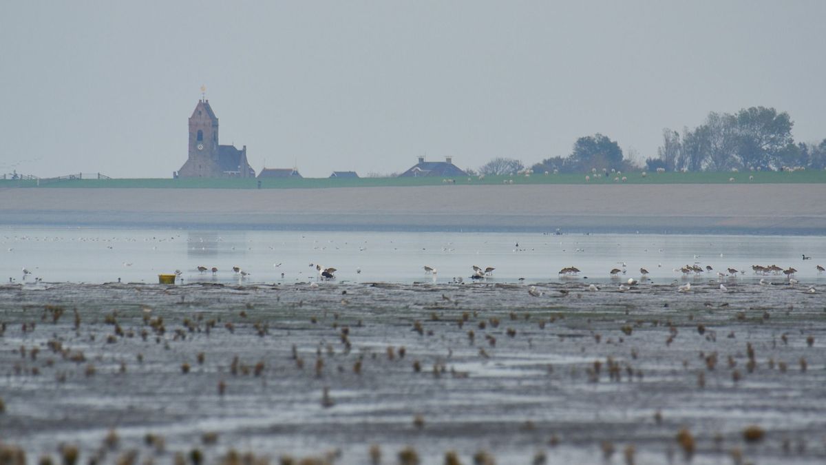 Friezen verdeeld over gaswinning bij Ternaard