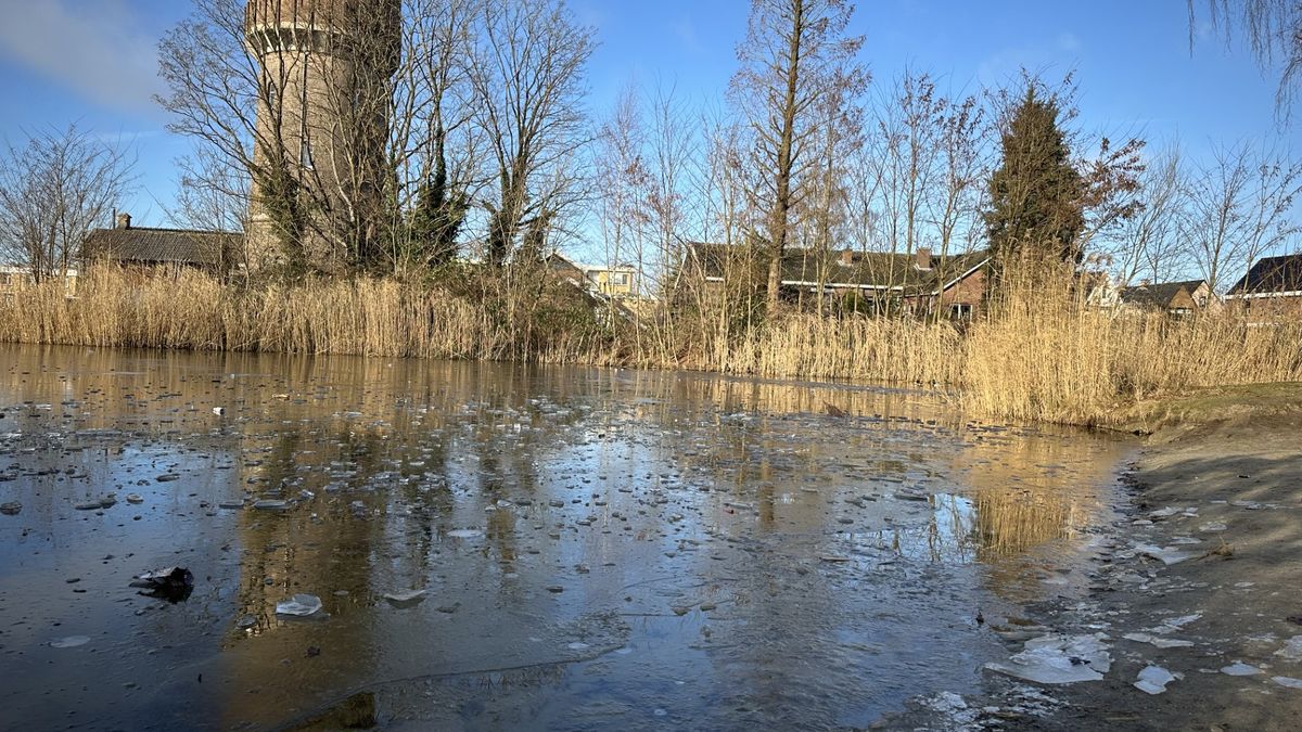 Temperatuur duikt onder nul: Overijsselse nieuwjaarsduiken vallen in het water