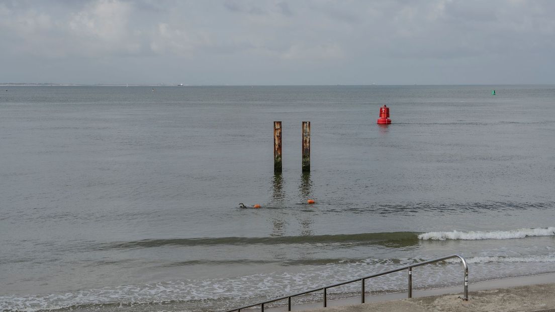 Zwemmers in Vlissingen, een van de plekken die wordt onderzocht