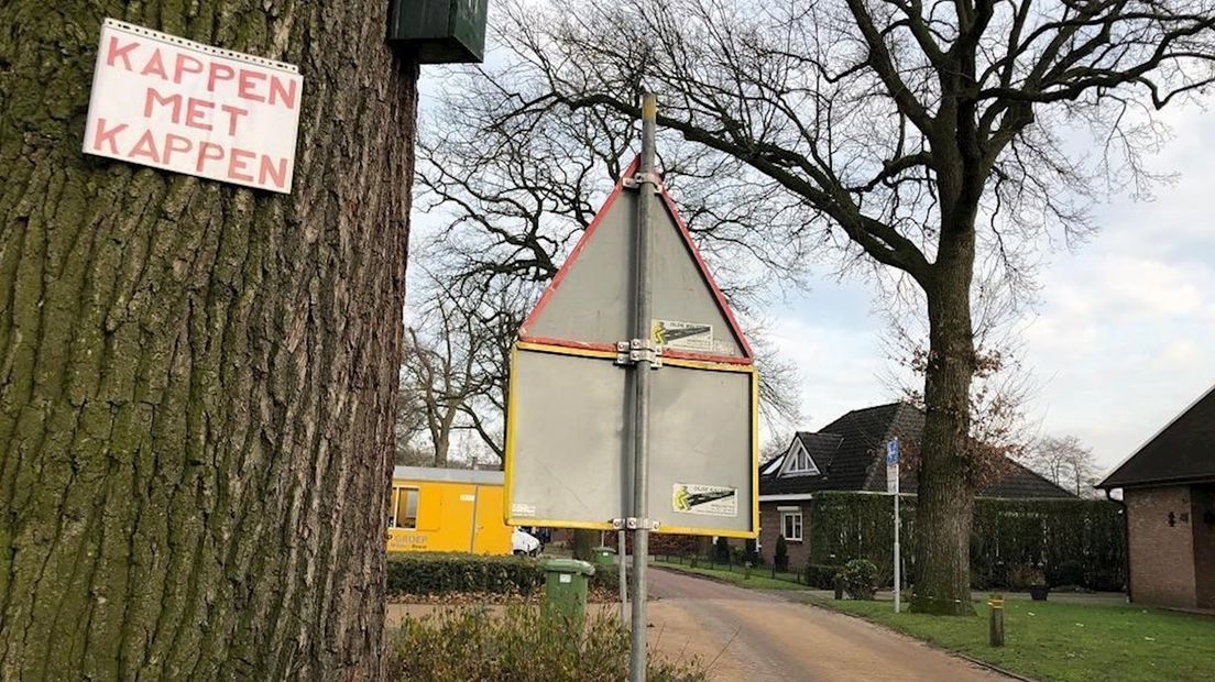 Het lijkt er vooralsnog op dat de bomen aan de Gondalaan wél overeind blijven