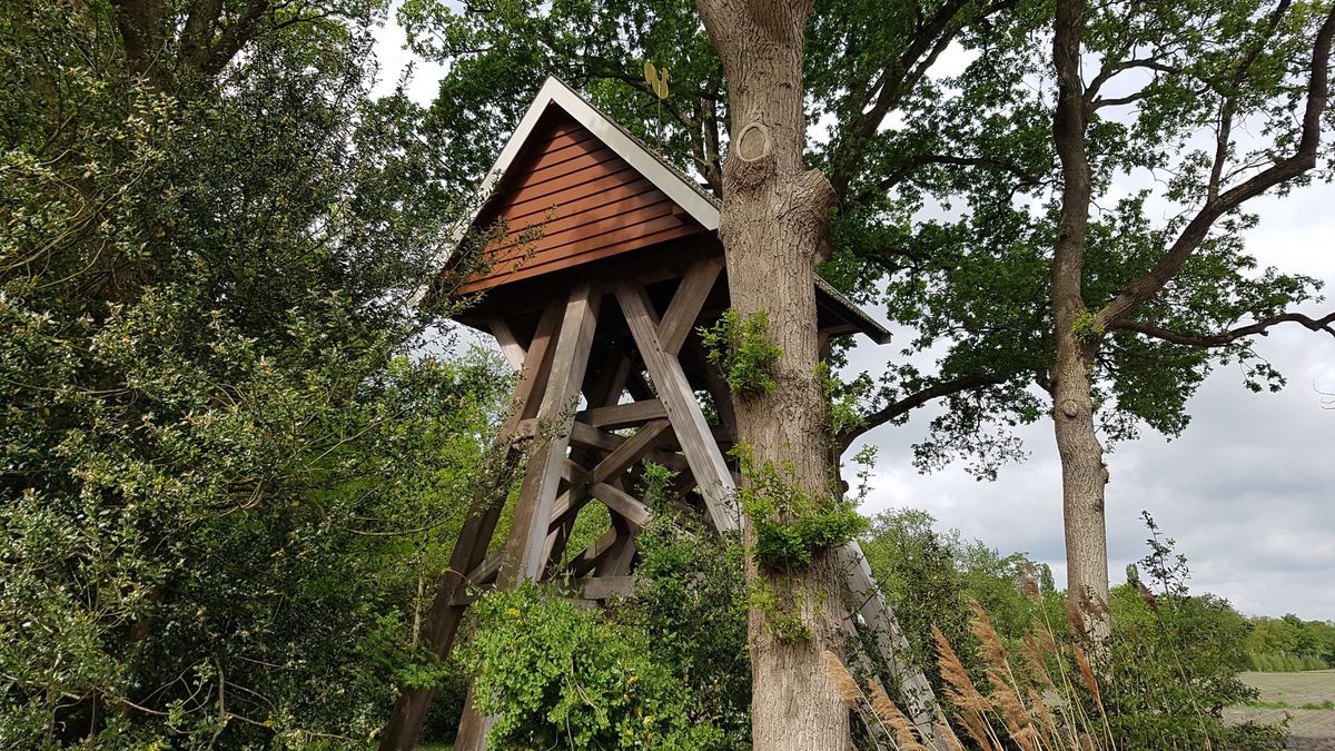 Sint-Thomasluiden Katlijk gaat door, fakkeloptocht en midwintermarkt afgelast