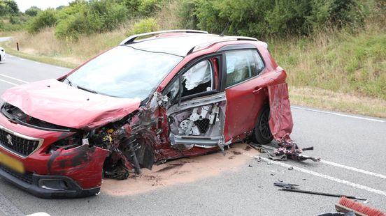 Wesp veroorzaakt ravage op de weg