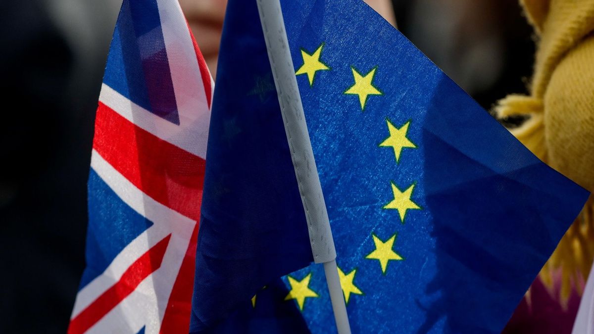 Britse Drent over Brexit: ‘Ik moet het accepteren'