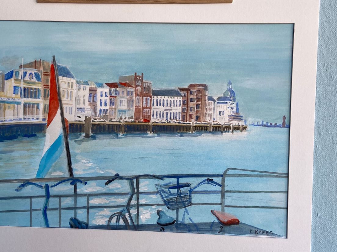 Dordrecht gezien vanuit de Waterbus