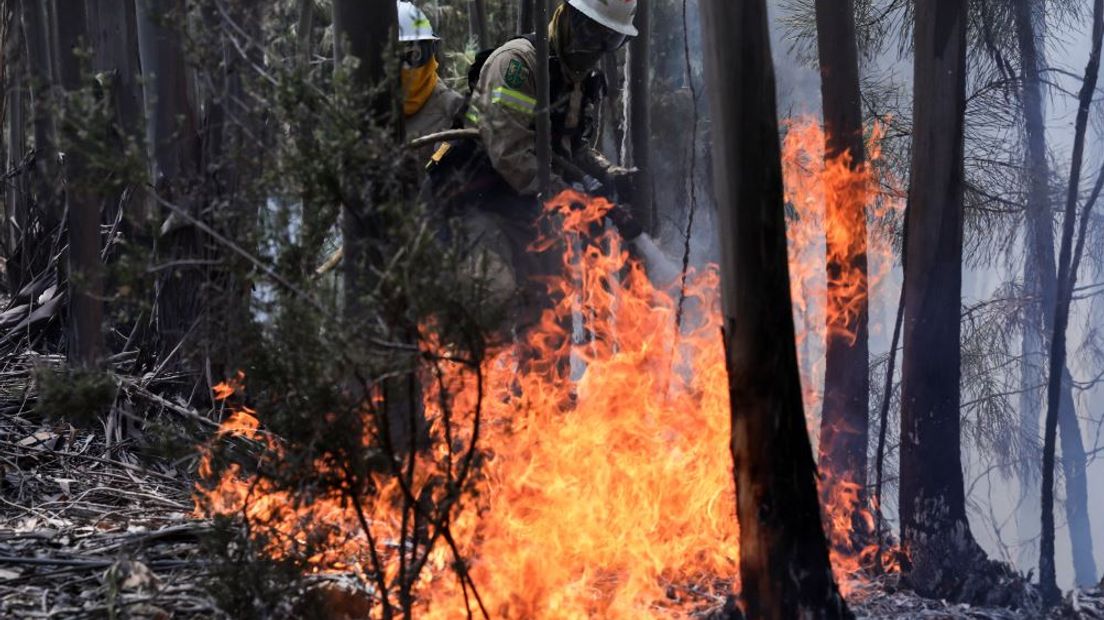 Enorme bosbranden zoals in Portugal zullen hoogstwaarschijnlijk niet voorkomen op de Veluwe. Dat vertelt Wim Verboom van de brandweer Gelderland-Midden.