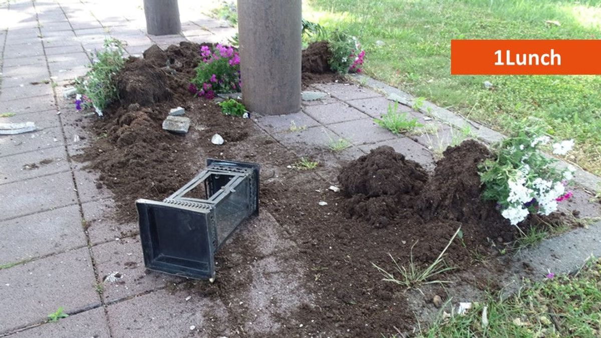 1Lunch: Ravage bij oorlogsmonument Castenray