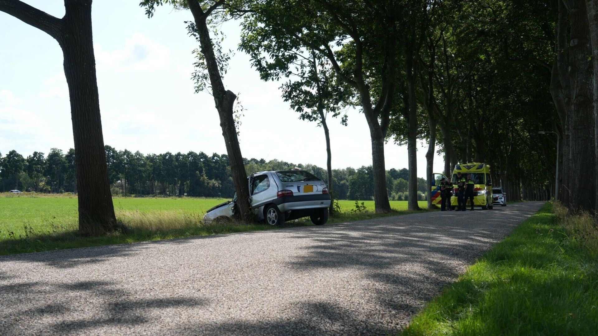 Bestuurder gewond bij botsing tegen boom.