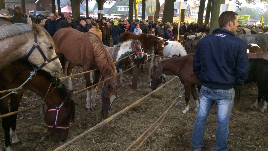 De paardenmarkt van vorig jaar (Rechten: archief RTV Drenthe)