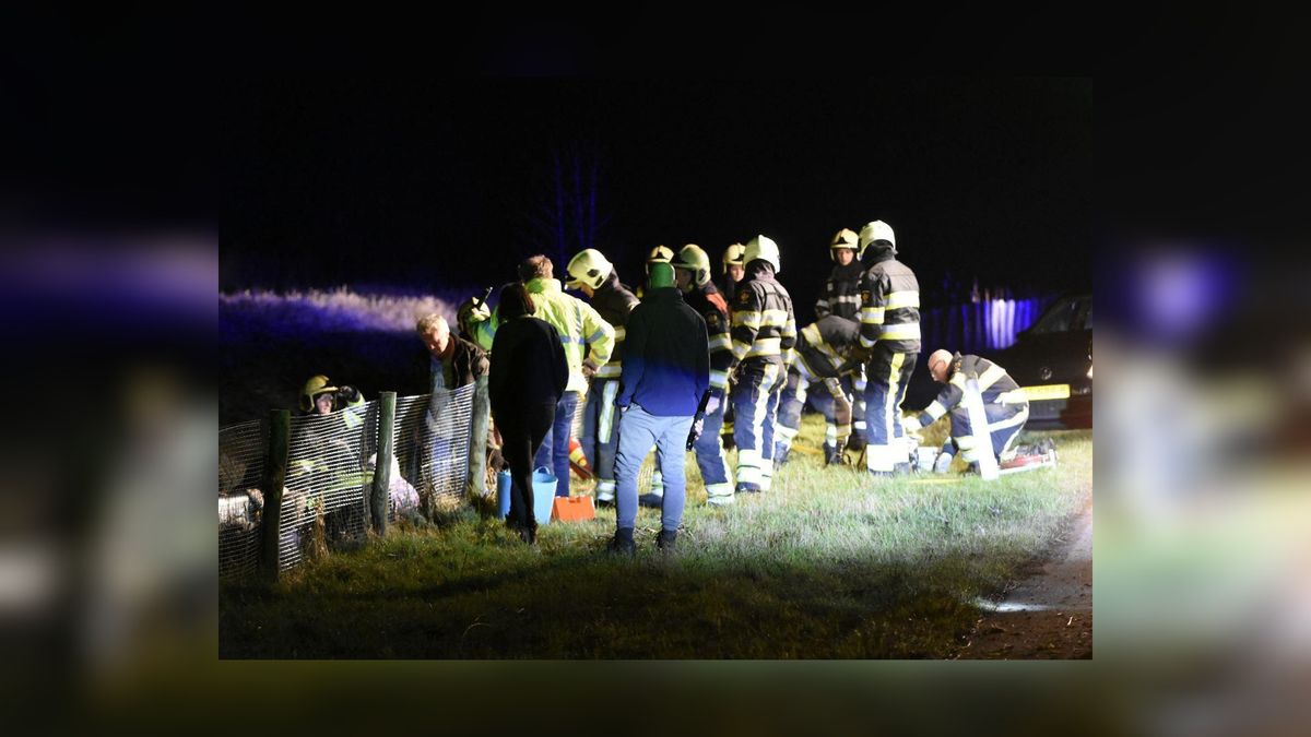 Auto op de kop in de sloot bij Nijetrijne, bestuurder gewond