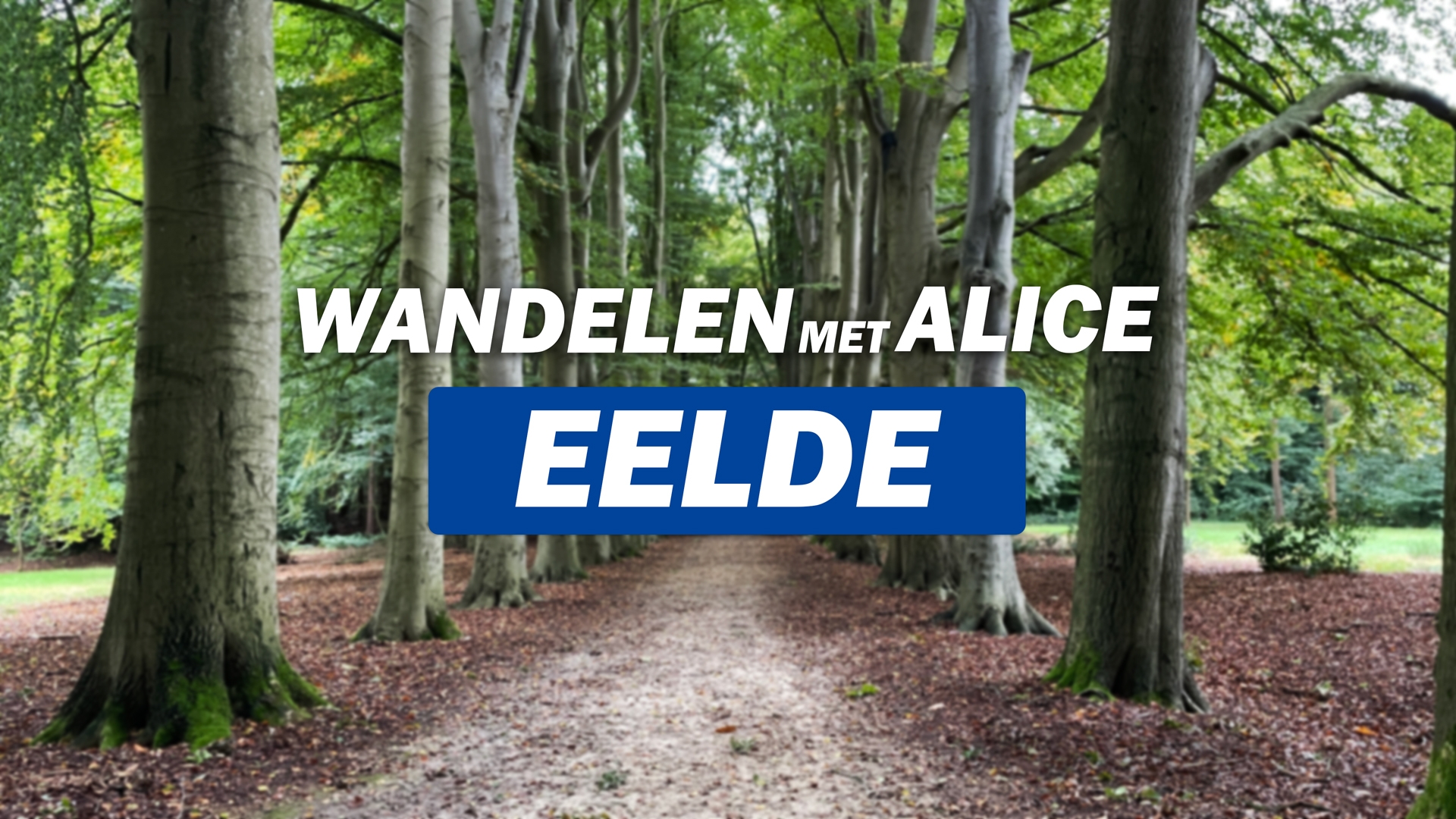 Wandelen met Alice: Eelde