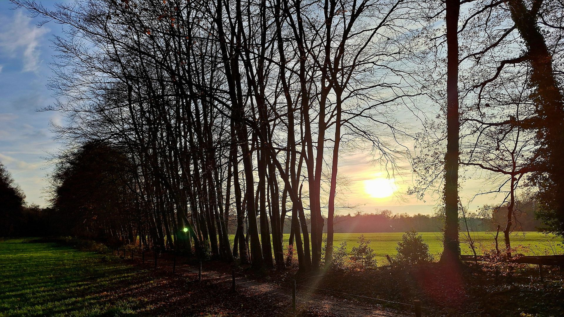 Bizar warm voor december en dat blijft nog even zo