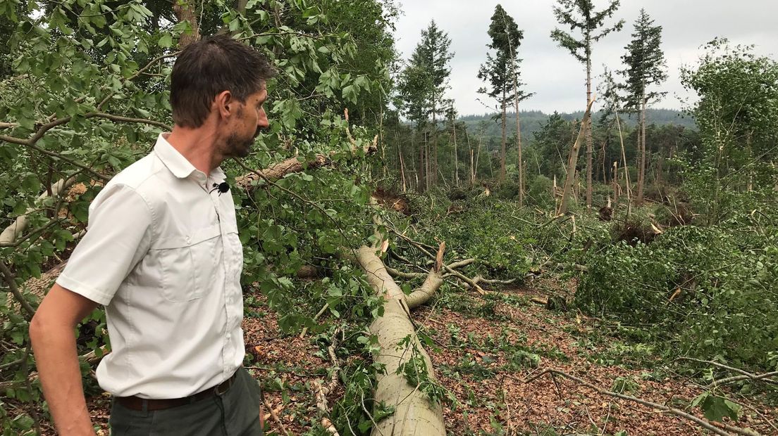 Boswachter Rein Zwaan inventariseert de schade op de dag na de storm.