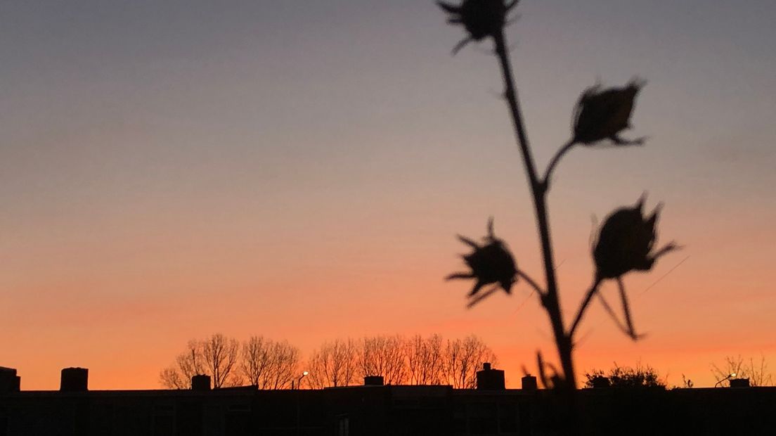 Middelburg Mooie rode ochtend lucht 14 november op de foto gezet in Middelburg