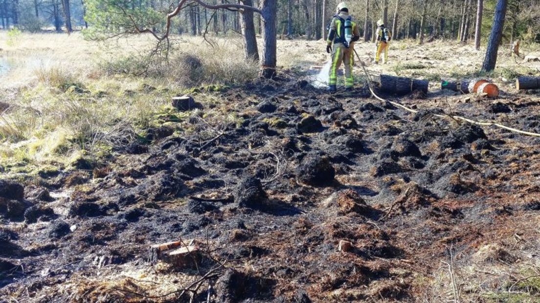 Bosbrand in Dwingeloo (Rechten: Persbureau Meter)