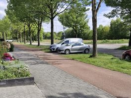 Raad van State doet niets met protest omwonende tegen 'gevaarlijk parkeren’