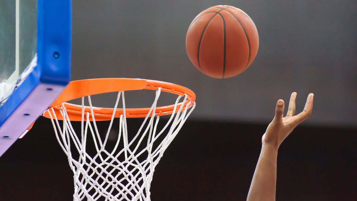 LWD Basket komt tekort tegen Den Bosch