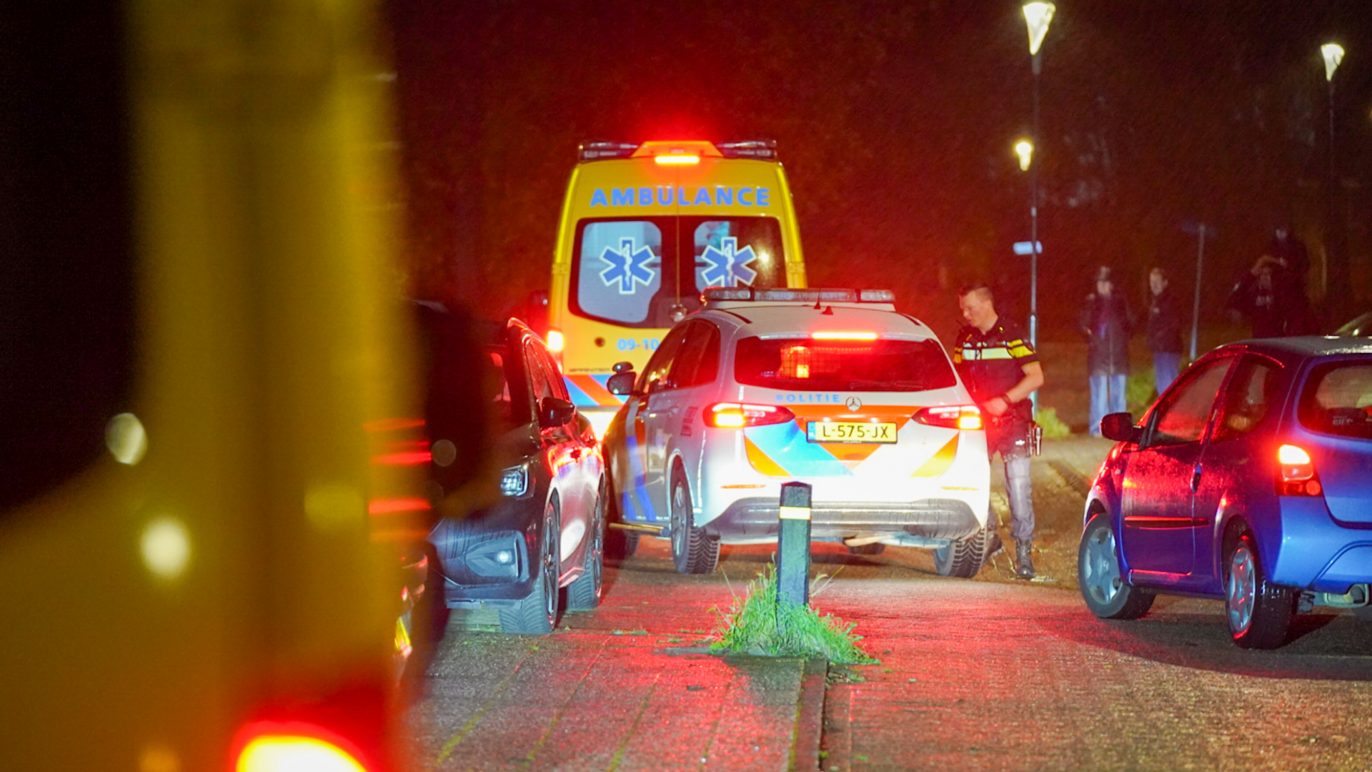 Man uit Houten krijgt 8 jaar cel voor doodsteken vrouw